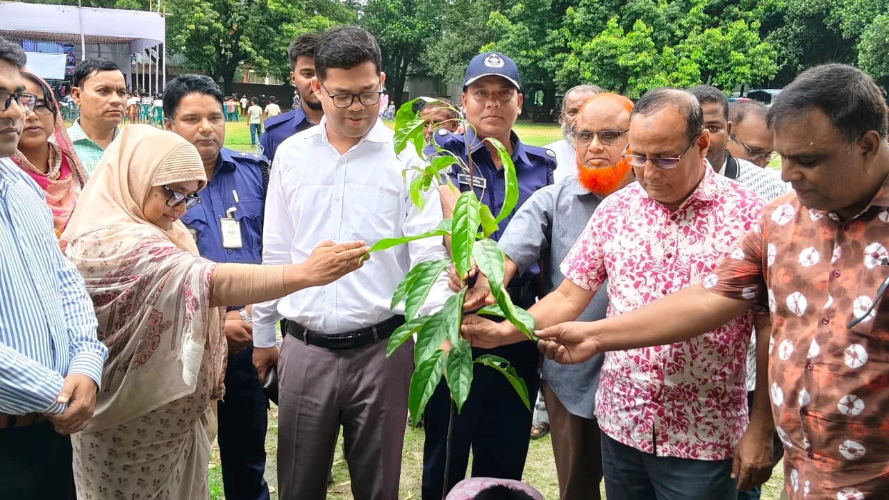 ঠাকুরগাঁওয়ে খালেদা জিয়া বালিকা উচ্চ বিদ্যালয়ে বৃক্ষরোপণ কর্মসূচি উদ্বোধন