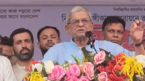 একটি মহল দেশকে অস্থিতিশীল করার চেষ্টা করছে- মির্জা ফখরুল