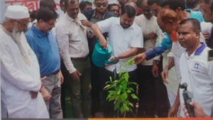 বৃক্ষরোপণ উদ্বোধন করলেন রাসিক প্রশাসক রিটন