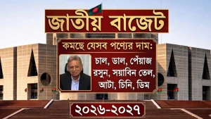 নিত্যপণ্যের দাম কমাতে সরকারের বড় সিদ্ধান্ত: ৬০টি পণ্যে উৎসে কর কমে ০.৫%