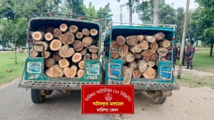 বাঘাইছড়িতে বিজিবি'র অভিযান অবৈধ কাঠ জব্দ।