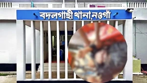 বদলগাছীতে ট্রাকের চাকায় পিষ্ট হয়ে এক বৃদ্ধার মর্মান্তিক মৃ/ত্যু