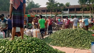 বদলগাছীতে খাস আদায় নিয়ে অনিয়ম, প্রশাসনের অবহেলায় সরকারি রাজস্ব হরিলুটের আশঙ্কা