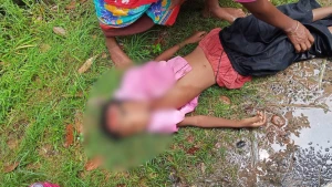 বদলগাছীতে পিকআপের ধাক্কায় স্কুলছাত্রীর নির্মম মৃত্যু, এলাকায় শোকের মাতম