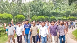 আওয়ামী লীগের প্রতিষ্ঠাবার্ষিকীতে সম্ভাব্য নাশকতার বিরুদ্ধে ইবি ছাত্রদলের বিক্ষোভ মিছিল