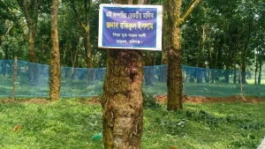 হবিগঞ্জে রশিদপুর ফিনলে কোম্পানির দাপটে দিশেহারা নিরীহ রফিকুল ইসলাম