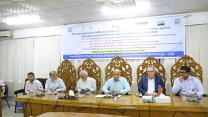 আফলাটক্সিন দূষণ মুক্ত ভুট্টা উৎপাদনে সফল বাকৃবির গবেষণা