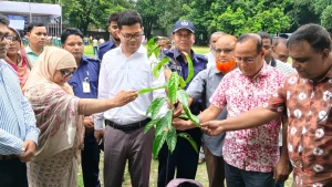 ঠাকুরগাঁওয়ে খালেদা জিয়া বালিকা উচ্চ বিদ্যালয়ে বৃক্ষরোপণ কর্মসূচি উদ্বোধন