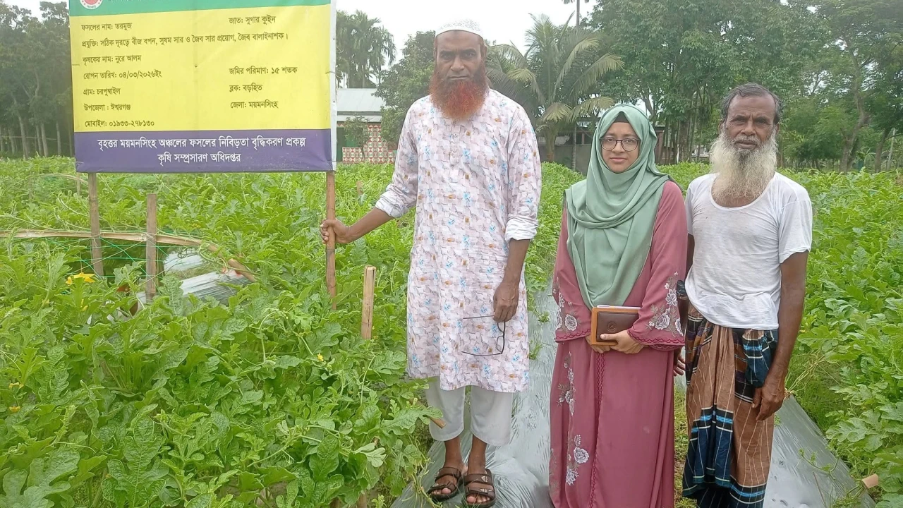 ঈশ্বরগঞ্জে নূরে আলমের তরমুজ চাষে সাফল্য, তিন মাসেই আয় দেড় লাখ টাকা