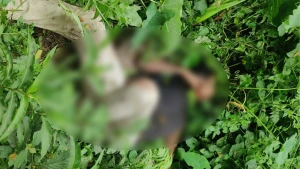 ঈশ্বরগঞ্জে সেতুর পাশে অজ্ঞাত যুবকের মরদেহ